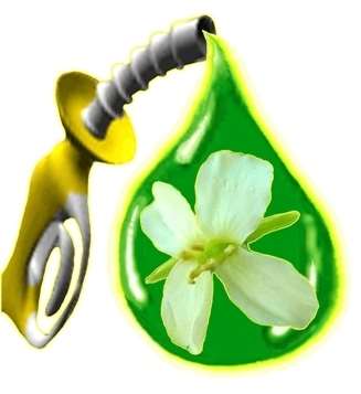 biofuel logo11