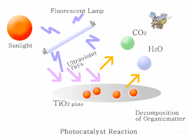 photocatalyst