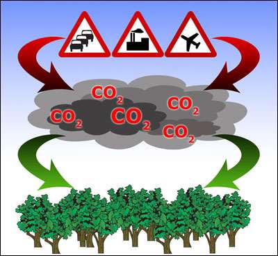 co2 cycle