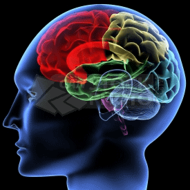 canstockphoto1089753 comp 20110322114055