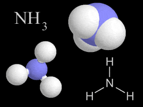 nh3 molecule