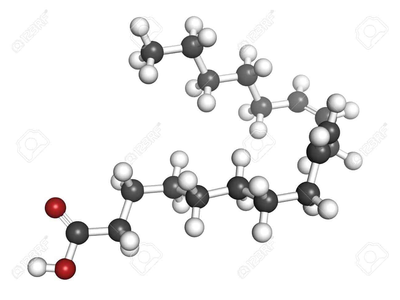 18212788 omega 6 acide gras insature acide linoleique la le modele moleculaire les atomes sont representes par des spheres av 20191115120343