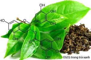 polyphenol la gi