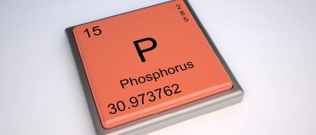 phospho