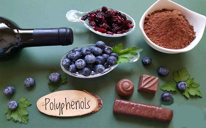 polyphenol polyphenol
