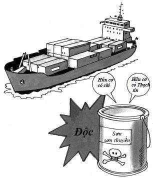 Vì sao loại sơn đáy thuyền, tàu lại phải khác sơn thường? Vì sao loại sơn đáy thuyền, tàu lại phải khác sơn thường?