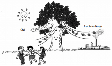 Oxy trên Trái Đất có dùng cạn hết không? Oxy trên Trái Đất có dùng cạn hết không?